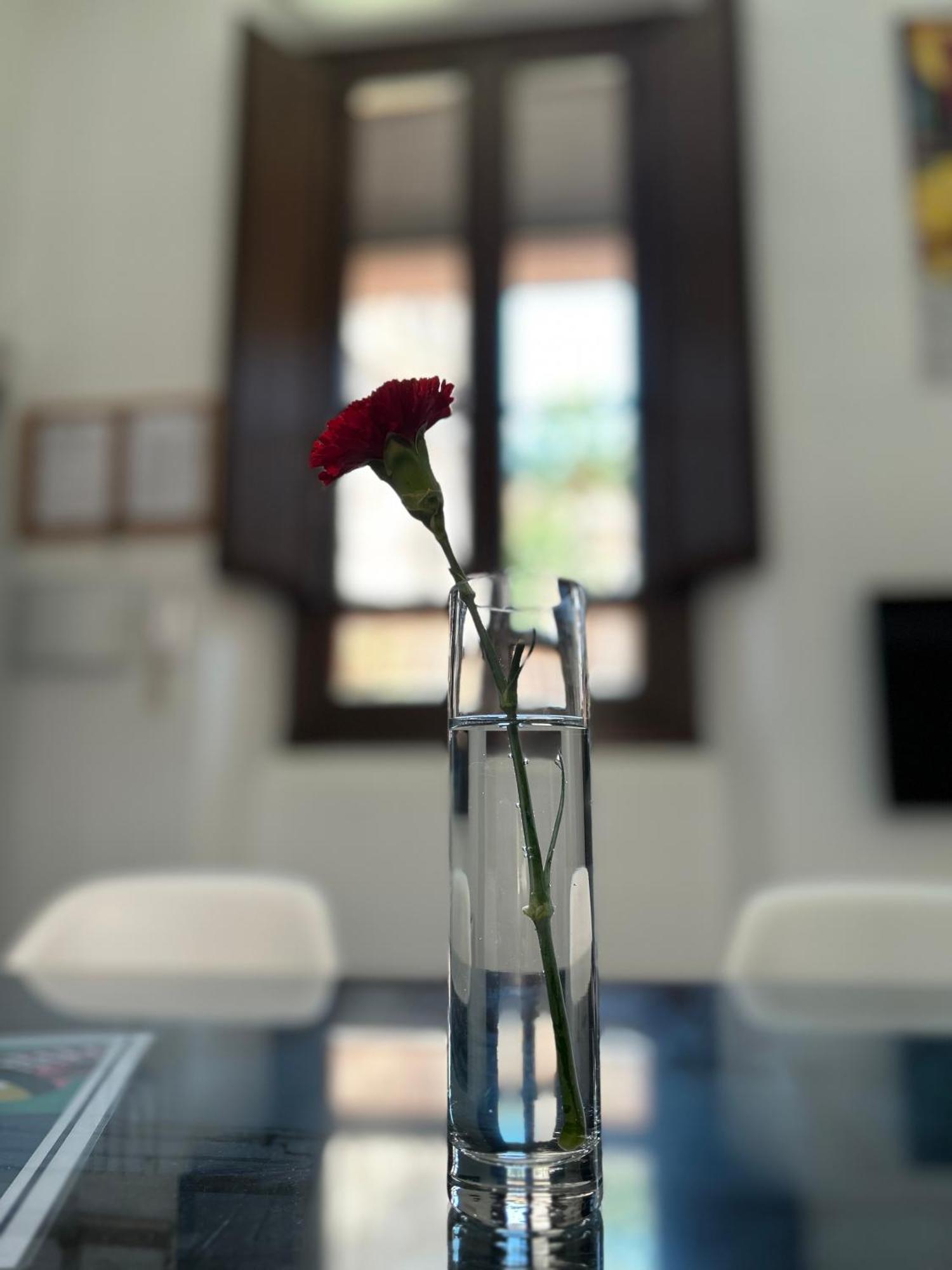 גרנדה Romanilla Loft מראה חיצוני תמונה